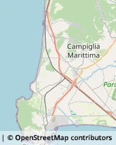 Associazioni Sindacali Campiglia Marittima,57021Livorno