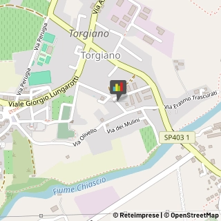 Società di Telecomunicazioni,06089Perugia