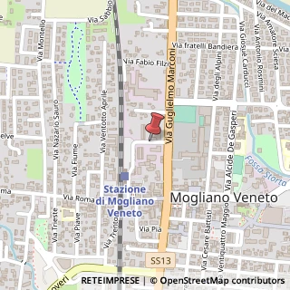 Mappa Via Toti dal Monte, 39, 31021 Mogliano Veneto, Treviso (Veneto)