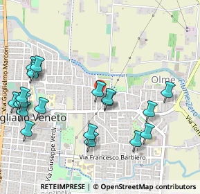 Mappa Via Cesare Abba, 31021 Mogliano Veneto TV, Italia (0.605)