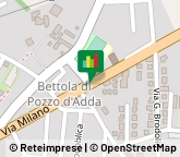 Animali Domestici - Toeletta,24044Bergamo