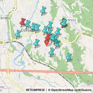 Mappa Via Paruzza, 13836 Cossato BI, Italia (0.821)