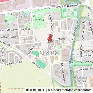 Mappa Via Santa Giuliana, 9, 20867 Caponago, Monza e Brianza (Lombardia)