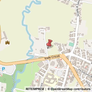 Mappa Viale Cricoli, 62, 36100 Vicenza, Vicenza (Veneto)