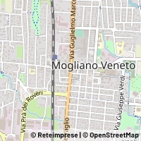 지도 Mogliano Veneto