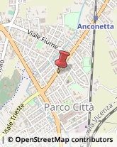 Via Antonio Turra, 3,36100Vicenza