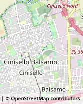 Viale Rinascita, 36,20092Cinisello Balsamo