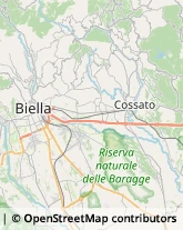 Legna da ardere Castelletto Cervo,13851Biella