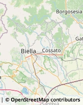 Legna da ardere Sandigliano,13876Biella