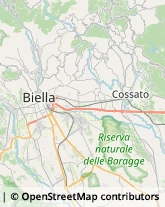 Frutta e Verdura - Dettaglio Masserano,13866Biella