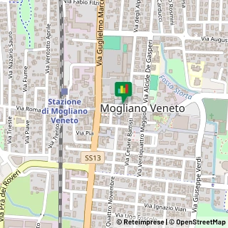 Mappa Via Don Giovanni Bosco, 21, 31021 Mogliano Veneto, Treviso (Veneto)