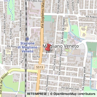 Mappa Via Costante Gris, 10, 31021 Mogliano Veneto, Treviso (Veneto)