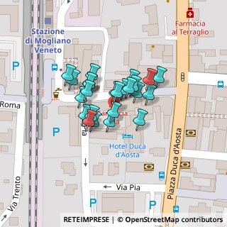 Mappa Via Giacomo Matteotti, 31021 Mogliano Veneto TV, Italia (0.0348)