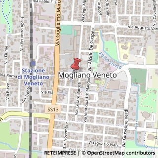 Mappa Via bosco don giovanni 35, 31021 Mogliano Veneto, Treviso (Veneto)