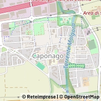 Map Caponago