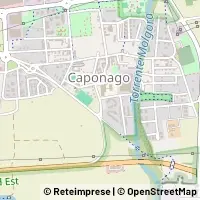 Map Caponago