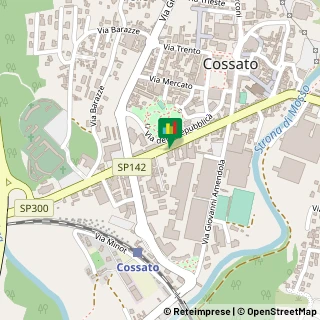 Via Giuseppe Mazzini, 5,13863Cossato