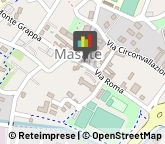 Animali Domestici - Toeletta,20060Milano