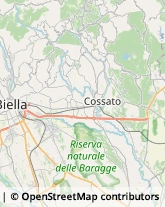 Assicurazioni Vigliano Biellese,13856Biella