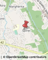 Via Spinei, 33,13836Cossato