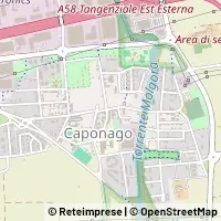 Kort Caponago