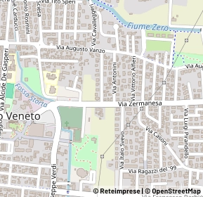 Mappa 31021 Mogliano Veneto TV, Italia (0.16154)