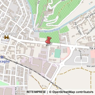 Mappa Via Vittorio Emanuele II, 38, 25030 Coccaglio, Brescia (Lombardia)