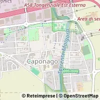 Map Caponago
