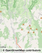 Autotrasporti Cerro Veronese,37020Verona