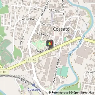 Agenzie ed Uffici Commerciali Cossato,13836Biella