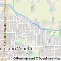 মানচিত্র Mogliano Veneto