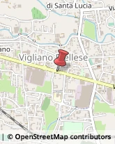 Via Milano, 185,13856Vigliano Biellese