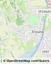 Via Oltreagno di Sopra, 4,36070Trissino