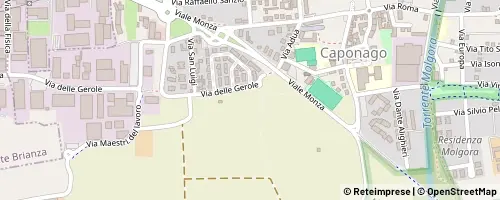 Mappa Caponago