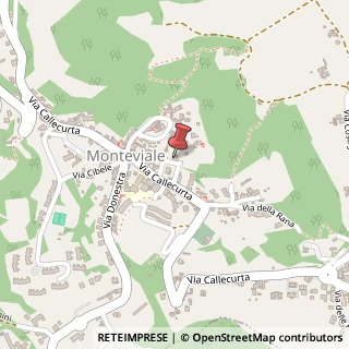 Mappa Via Ferruccio Garbin, 9, 36050 Monteviale, Vicenza (Veneto)