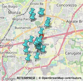 Mappa Via Belvedere, 20861 Brugherio MB, Italia (1.487)