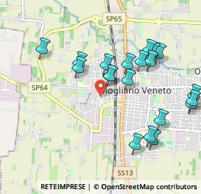 Mappa Via Monte Ortigara, 31021 Mogliano Veneto TV, Italia (1.024)