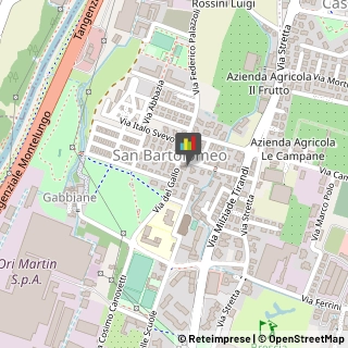 Naturopatia Brescia,25128Brescia
