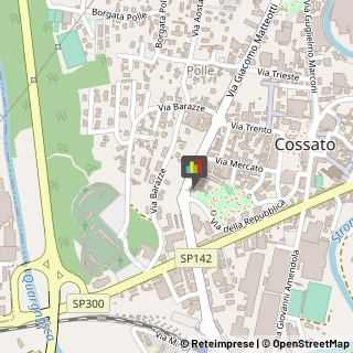 Agenzie ed Uffici Commerciali Cossato,13836Biella