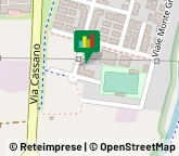 Animali Domestici - Toeletta,20069Milano