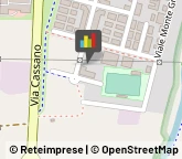 Animali Domestici - Toeletta,20069Milano