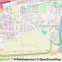Map Caponago