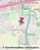 Via Roma, 32,20867Caponago