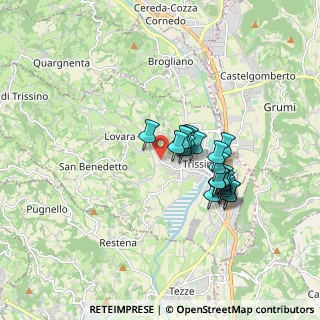 Mappa Via Munaretti, 36070 Trissino VI, Italia (1.374)