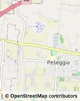 Viale dei Cacciatori, 16,31100Treviso