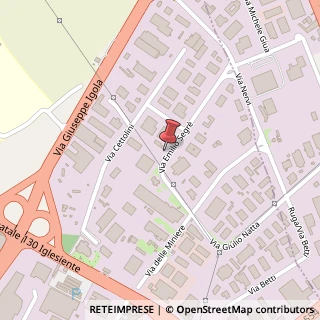 Mappa Via Emilio, Segr?, 09030 Elmas, Cagliari (Sardegna)
