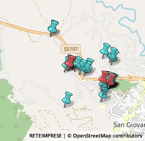 Mappa Zona Industriale PIP, 87055 San Giovanni in Fiore CS, Italia (0.88214)