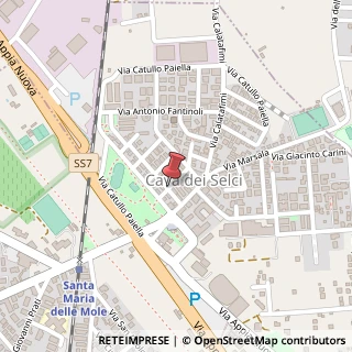 Mappa Via Nino Bixio,  8, 00185 Marino, Roma (Lazio)