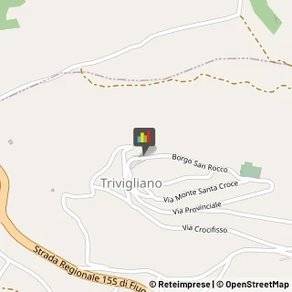 Avvocati Trivigliano,95047Frosinone