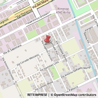 Mappa Via Eugenio Cecconi, 29, 00125 Roma, Roma (Lazio)